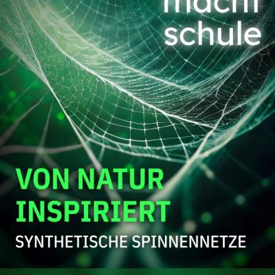 Faszination Spinnenseide | GCE Bayreuth
